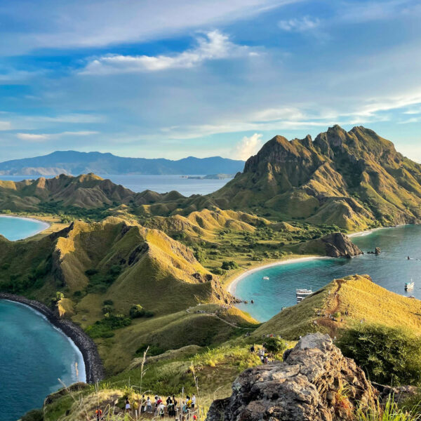Panorama verdoyant de Padar, une des îles de la Sonde en Indonésie