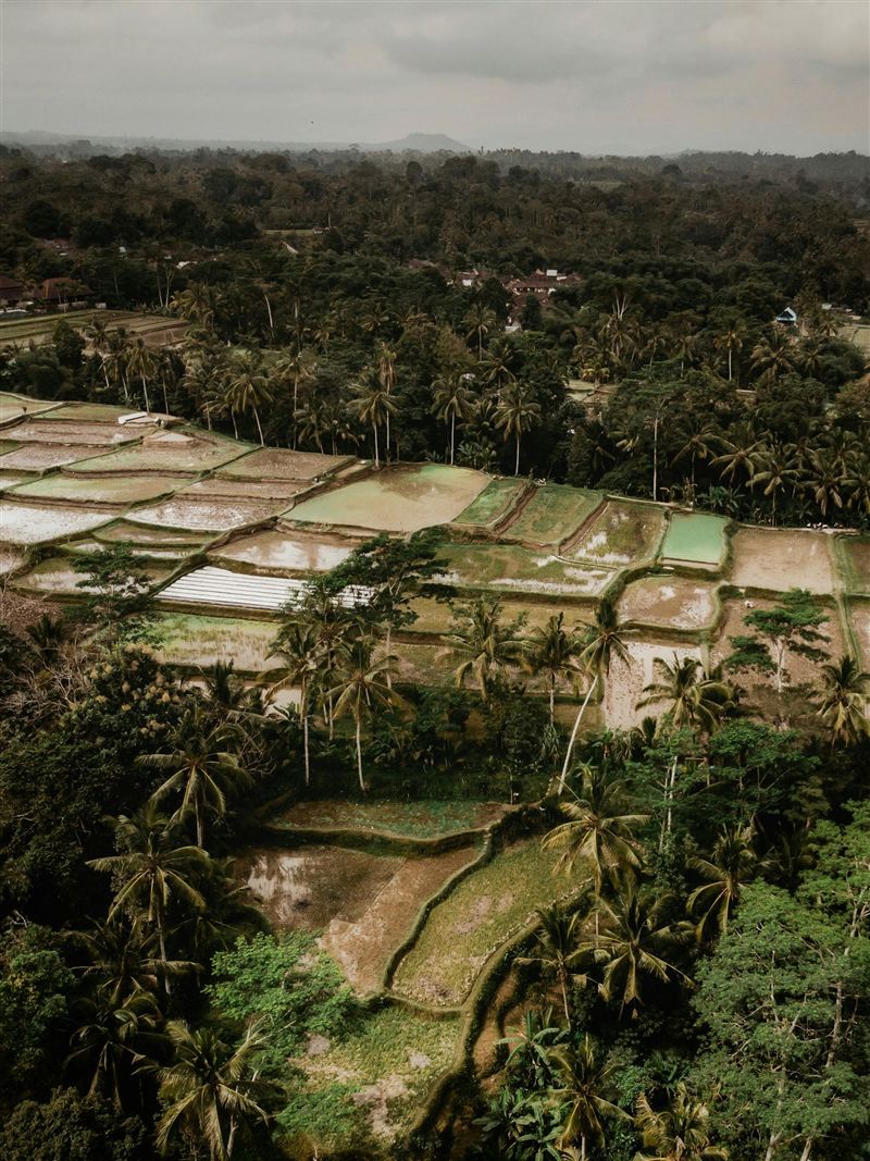 Macaques en forêt tropicale indonésienne, circuit nature et aventure douce